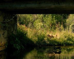 Actress Zoe Kravitz - The Road Within (2014)