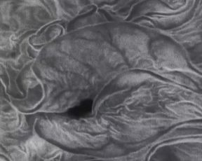 Celebrity Lesbian Video - Jesse Sullivan - Fuckkkyouuu (2015) 