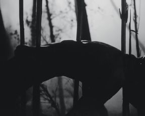 Celebrity Lesbian Video - Jesse Sullivan - Fuckkkyouuu (2015) 