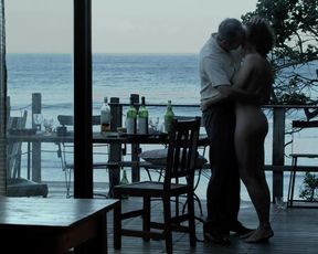 Hot scene Carice van Houten nude - Black Butterflies (2011) 