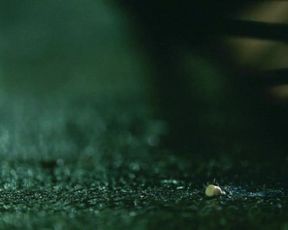 Hot celebs video Katia Winter naked - Arena (2011) 