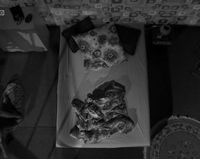 Explicit sex scene Luise Heyer & Petra Herrlein & Sascia Haj - HARTE (2015) Adult video from the movie