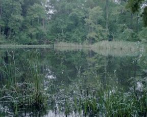 Tessie Herrasti - La Marche du Monde (2013)