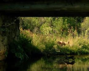 Hot scene Zoe Kravitz Nude - The Road Within (2014) 