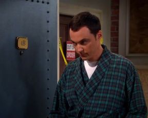 TV show scene Kaley Cuoco sexy – The Big Bang Theory s07e01 (2013) 