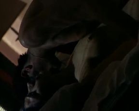 Hot celebs video Amanda Ryan Nude - The Hunger (1997) 