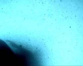 Sexy Rachael St. Rose Nude - Lady Bug (2017) 