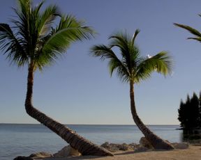 Naked scenes Gillian Jacobs, Scottie Thompson nude - The Lookalike (2014)