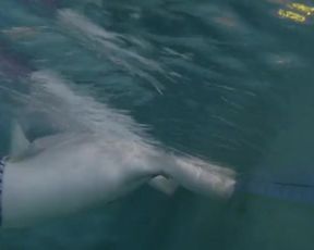 Hot scene Judith Godreche, Taylor Schilling Nude - The Overnight (2015) 