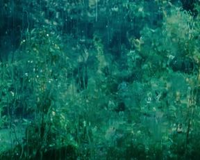 Radha Mitchell - Feast of Love (2007)