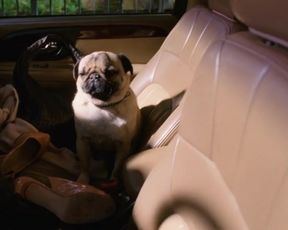 Hot scene Rebecca Creskoff Nude - Hung s03e01-10 (2011) 