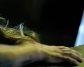 Amanda Barton, Tonya Kay Nude - Amityville Terror (2016)