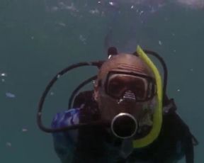 Sexy Alexandra Paul Sexy - Baywatch Hawaiian Wedding (2003) TV show scenes