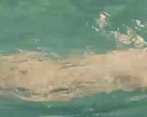 Julia Jentsch Nude - I Served the King of England (2006)