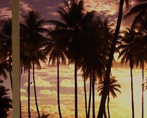 Ana Alexander nude - Chemistry (2011)