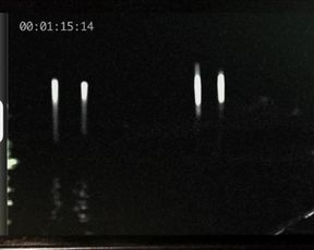 Ashley Laventure nude - Pinup Dolls on Ice (2013)