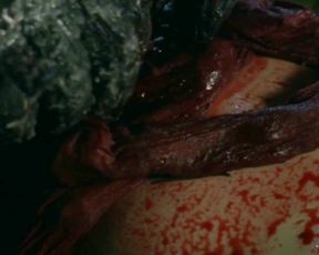 Celebs Nadia White, Brittany Blanton, Ayse Howard nude - Don’t Fuck in the Woods (2016)