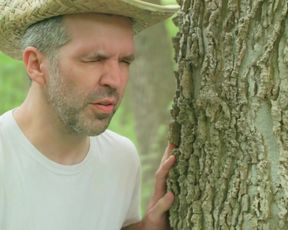 Celebs Nadia White, Brittany Blanton, Ayse Howard nude - Don’t Fuck in the Woods (2016)