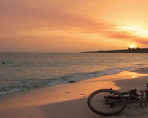 Leticia León Nude - Molinas Borealis (2013, SEX)