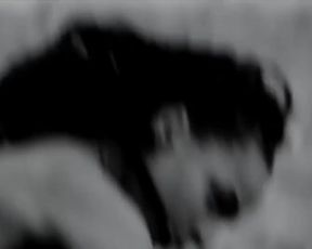 Sasha Lane Nude - Moses Sumney - Lonely World (2017)