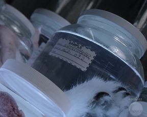 Hot celebs video Laura Vandervoort nude - Bitten (2015) 