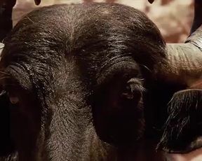 Hot scene Nathalia Dill, Lívia De Bueno Nude - Paraísos Artificiais (BR 2012) 