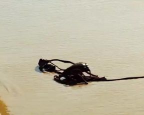 Hot scene Nathalia Dill, Lívia De Bueno Nude - Paraísos Artificiais (BR 2012) 