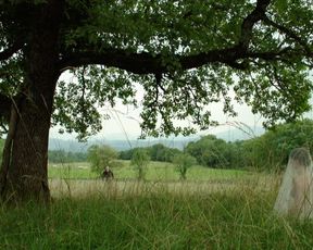 Diane Rouxel, Nathalie Tetrel - Fou D'Amour (2015) celebs sexy