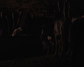 Maeve Jinkings - Boi neon (2015) celeb hot scene