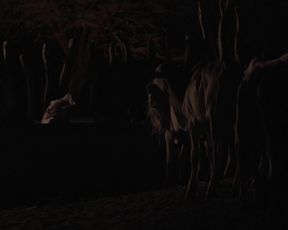 Maeve Jinkings - Boi neon (2015) celeb hot scene