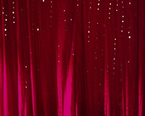 Shawn Rougeron nude - Bachelor_Night (2014)