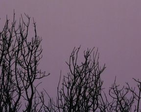 Nicole Branch - Gravitate (2014) celeb sexy