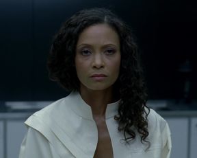 Thandie Newton - Westworld s01e07 (2016) Naked actress in a sexy video