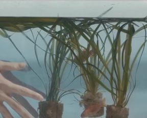 Eden Ducourant nude - Sweet Babylon (2018)