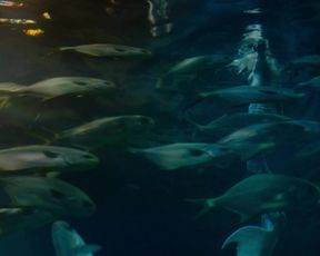 Marilyn Lima - Une sirene a Paris (2020) celeb naked