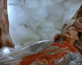 Laetitia Casta - Visage (2009)