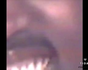 Taylor Swift, Rihanna, Kim Kardashian, Amber Rose - Famous (2016) Nude Dolls