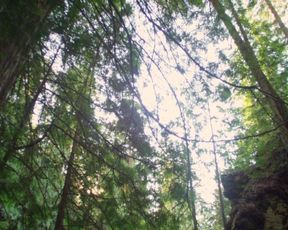 Laura Bilgeri, sexy actress - The Recall (2017) Censorship naked video