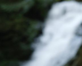 Laura Bilgeri, sexy actress - The Recall (2017) Censorship naked video