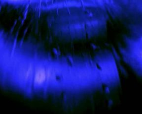 Samantha Varga, Stacy M Underwood - House Shark (2018)