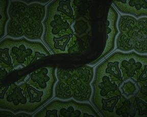 Marilyn Castonguay - Wild Skin (2016) celeb topless scenes