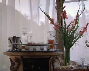 Diana Patricia Hoyos, sexy - Sniper Ultimate Kill (2017) Nude TV movie scene