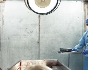 Jenice Marshall nude - Paramedics (2016)