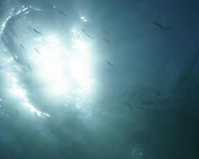 Gracija Filipovic, Vanesa Vidakovic Natrlin nude - Into the Blue (2017)