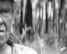 Jitka Cvancarova – Nabarvene ptace (2019) Nude actress