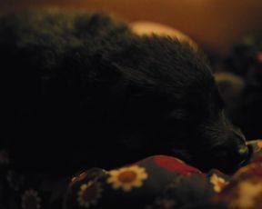 Naomi Achternbusch, Clara Schramm - Blind _ Hasslich (2017) sexy nude scene