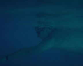 Toni Collette nude - Madame (2017)