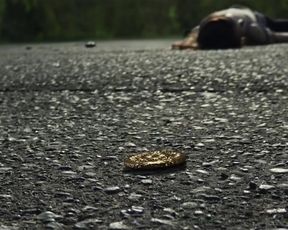 Emily Browning nude actress - American Gods  (2017) (Season 1, Episode 7)