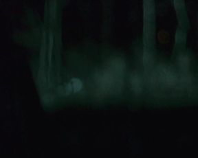 Catherine Corcoran sexy - 100 Acres of Hell (2019)