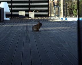 Helena Af Sandeberg - Morkt vatten (2012)